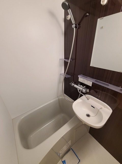 板橋区赤塚２丁目の賃貸マンションの浴室