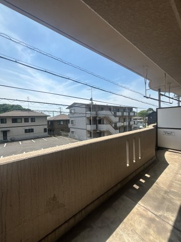 ファンシアのその他