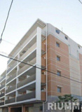 Ｃｅｒｃａ　Ｔｏｒｒｅの画像