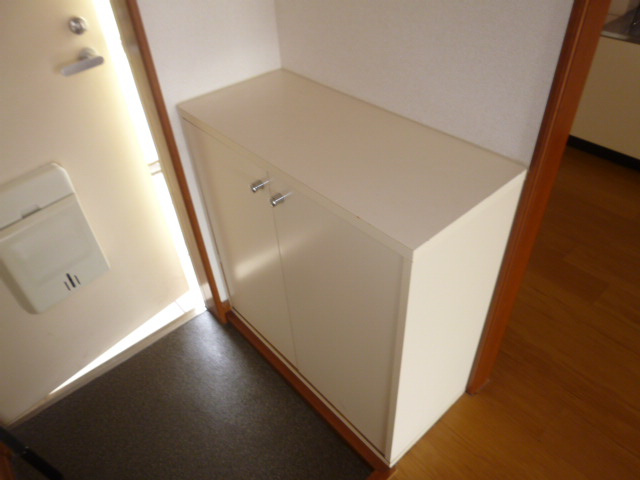 ニューシティともえⅢの玄関