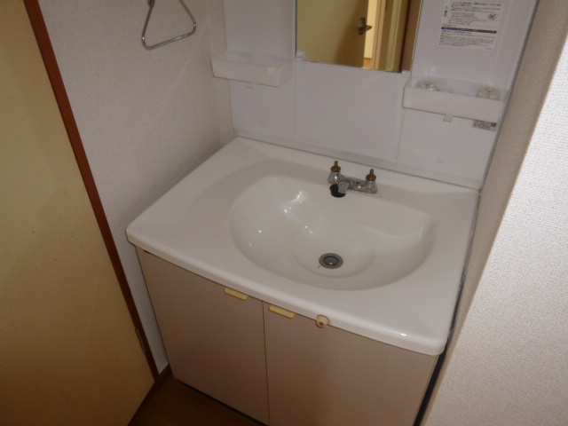 ニューシティともえⅢの洗面所