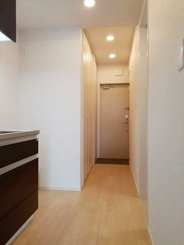 アンサイズニアのその他