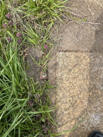 高島市安曇川町三尾里160坪土地のその他|北東側境界杭