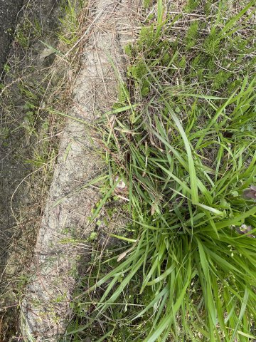 高島市安曇川町三尾里160坪土地のその他|南西側境界杭