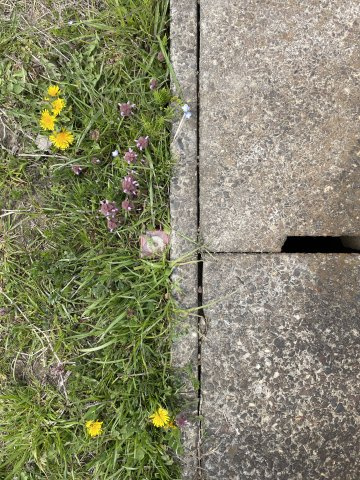 高島市安曇川町三尾里160坪土地のその他|南東側境界杭