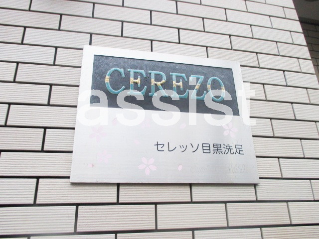 セレッソ目黒洗足のその他