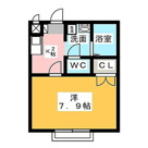 アンプルールブワ虹の画像