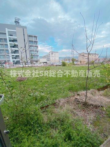 稲葉2丁目中古戸建の展望|東側の勝手口を開けたら日光を遮る物がないです♪