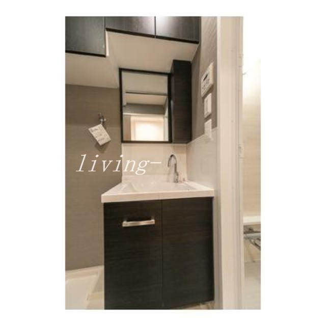 ダブル・リーブス半蔵門の洗面所