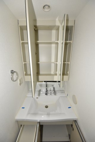 ロイヤルパークス桃坂