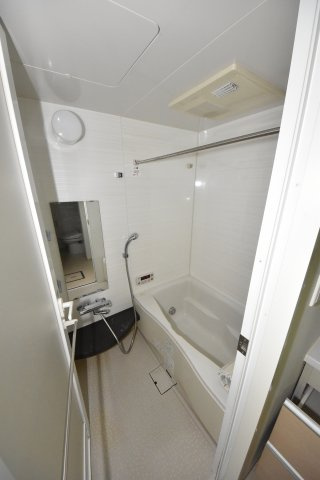 ロイヤルパークス桃坂の浴室