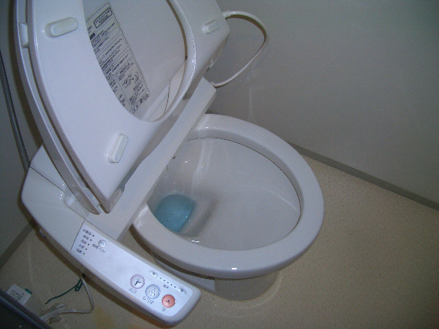 ドルシスⅡのトイレ