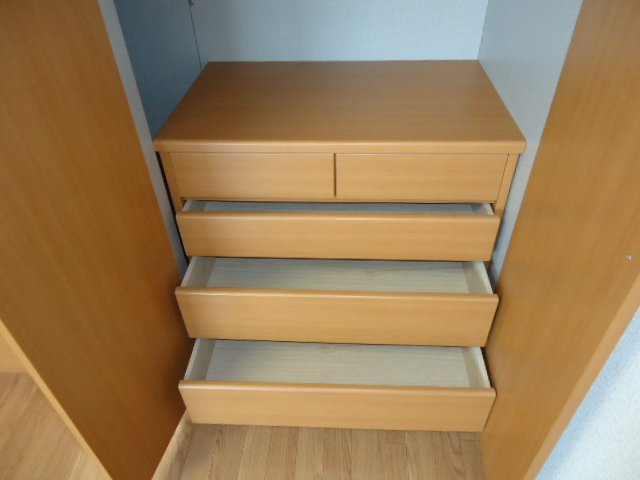 ハイツルミナスの収納|収納