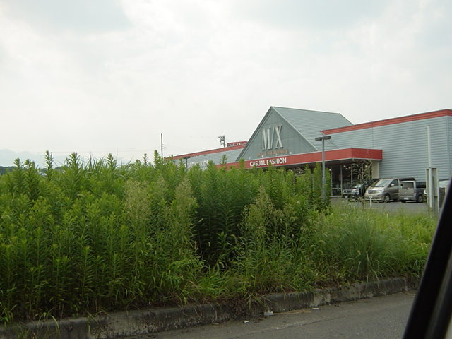 ハイツルミナスの周辺|ＭＸ（洋品店）まで200ｍ