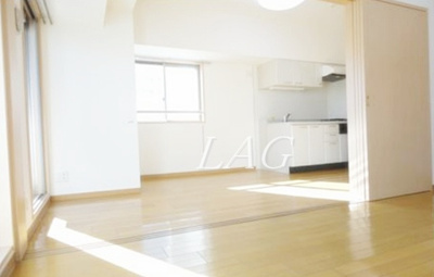 【居間・リビング】 | 銀座レジデンス壱番館 | 洋室のお部屋です。