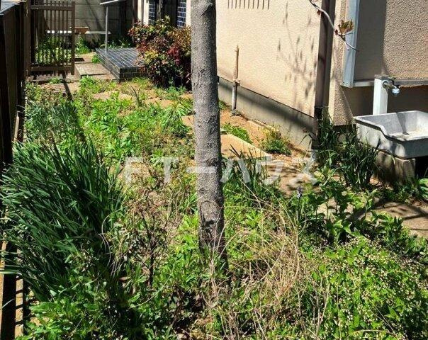 松が丘戸建の庭