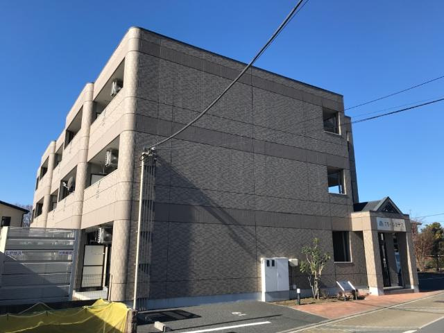 ＴＨ・ルミナス