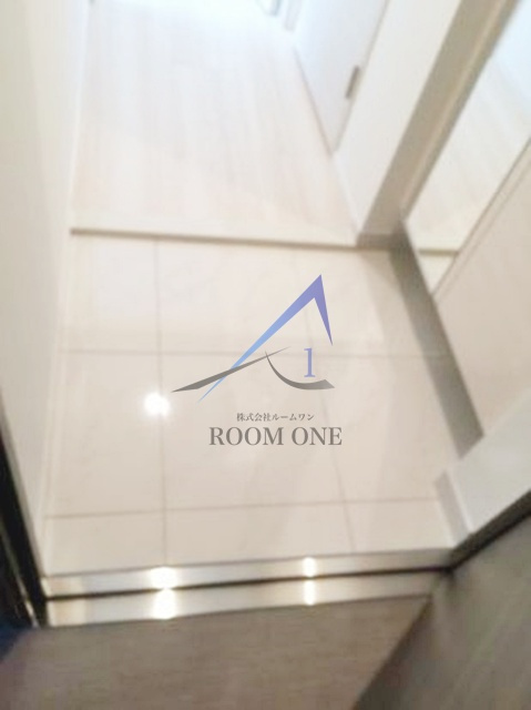 デュアレス千代田三崎町の玄関|玄関です。