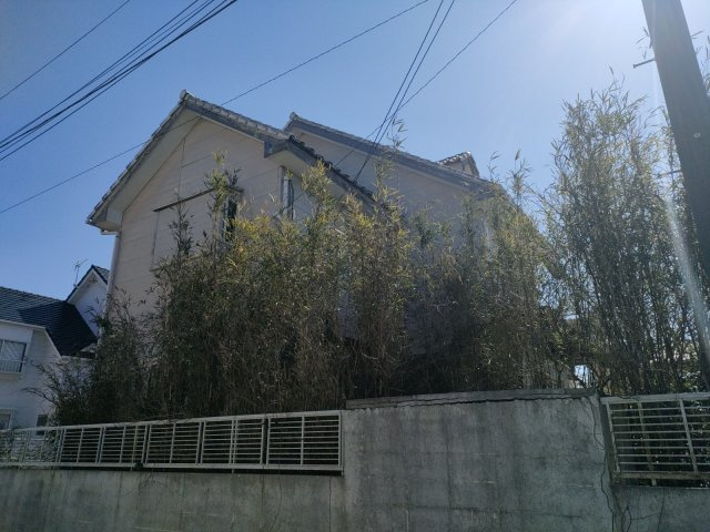 【前面道路含む現地写真】 | 山武市白幡　古家付き土地