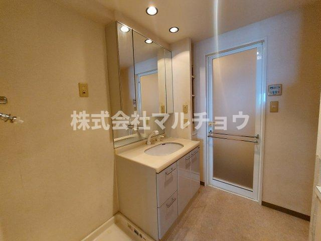 ファミールヴィラ紀伊田辺C棟の独立洗面台|独立洗面台あり、毎朝おしゃれに忙しい女性の方におすすめです