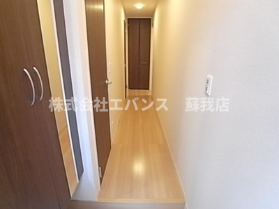  | フォレスタレザイア