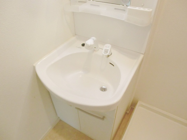 アークみのりの洗面所|シャンプードレッサー。