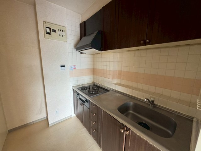 -三丁目不動産-ダイアパレスビッグウィング深谷のキッチン