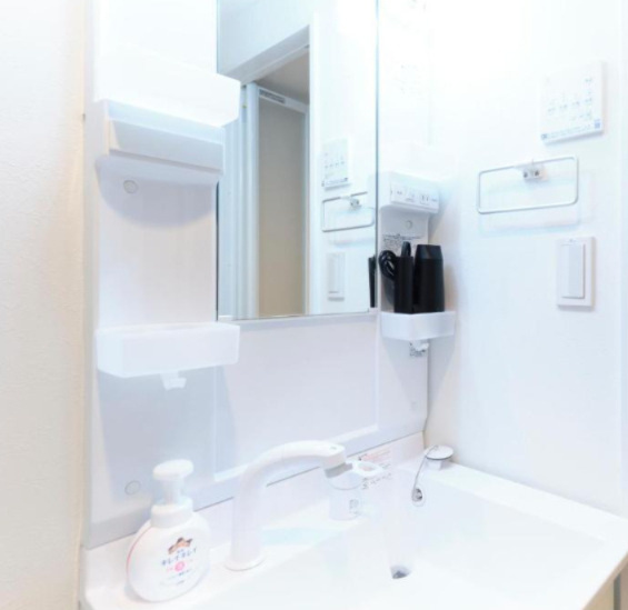 メゾンアッシュ大山の洗面所|シリーズ物件参考