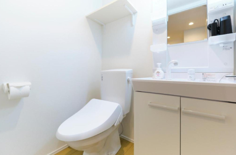 メゾンアッシュ大山のトイレ|シリーズ物件参考