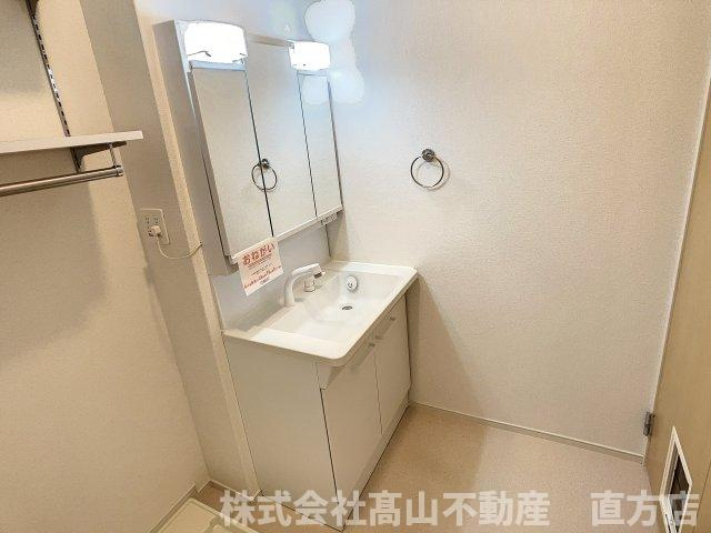ニューメゾン感田Ｂの洗面所