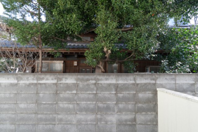 【展望】 | ONE TREE HILL（ワンツリーヒル）