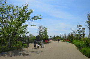 【その他】 | 多摩川河川敷