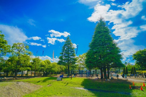 【その他】 | 二子玉川公園