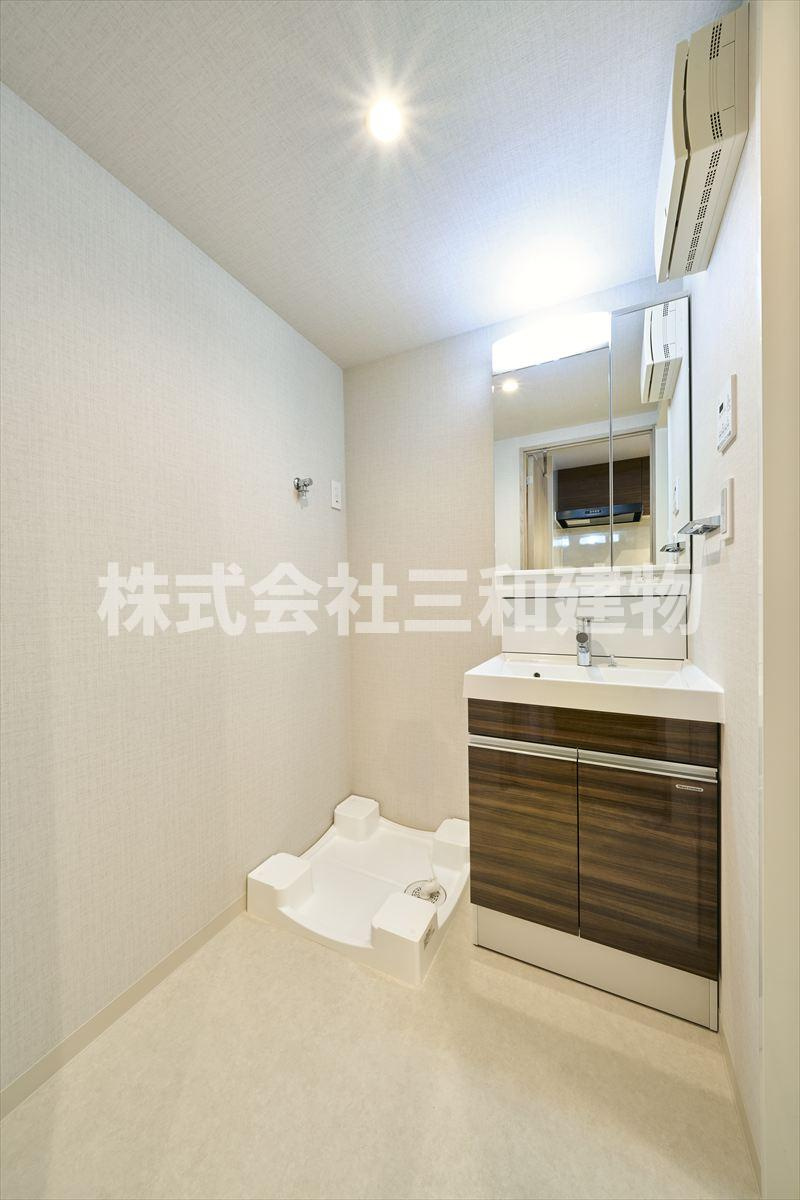 DIPS成増の洗面所