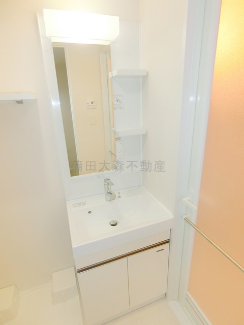 リヴシティ蒲田イーストの洗面所