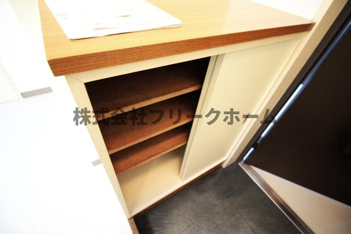 武蔵野市境南町２丁目の賃貸マンションの玄関