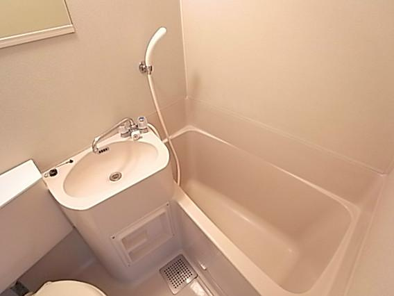 ダイドーメゾン岡本の洗面所