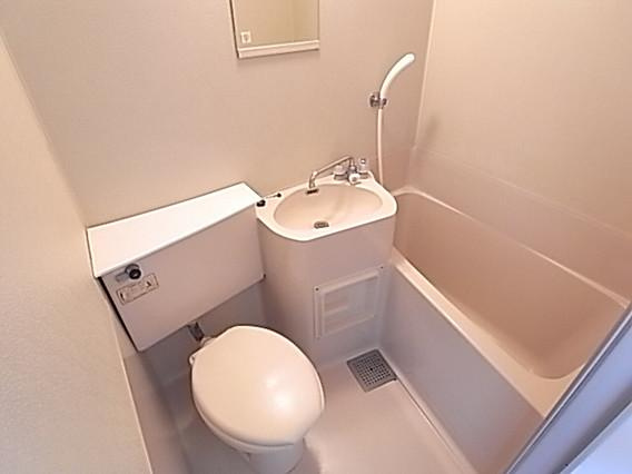 ダイドーメゾン岡本の浴室