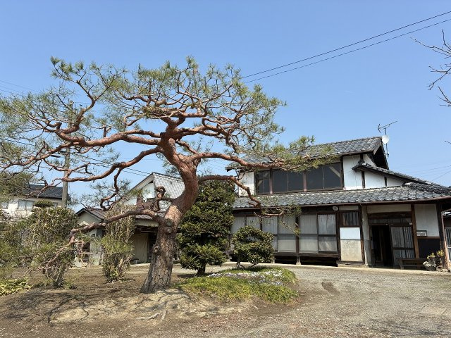 〈調整区域〉約226坪。建替え時に都市計画法43条1項建築許可が必要です。の外観