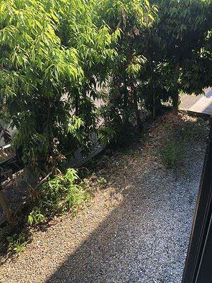 クレセント・トウヨウ A棟の庭