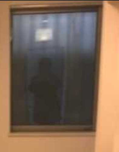 サークルハウス太子堂　礼金0　駅近　ネット無料の展望