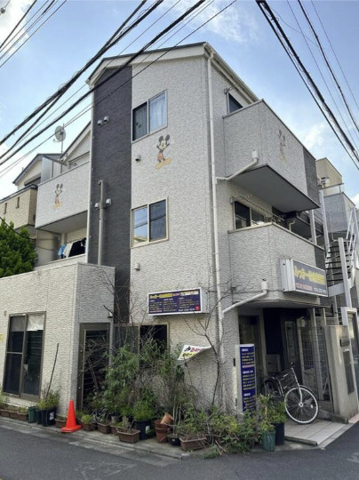 ファレノプシス