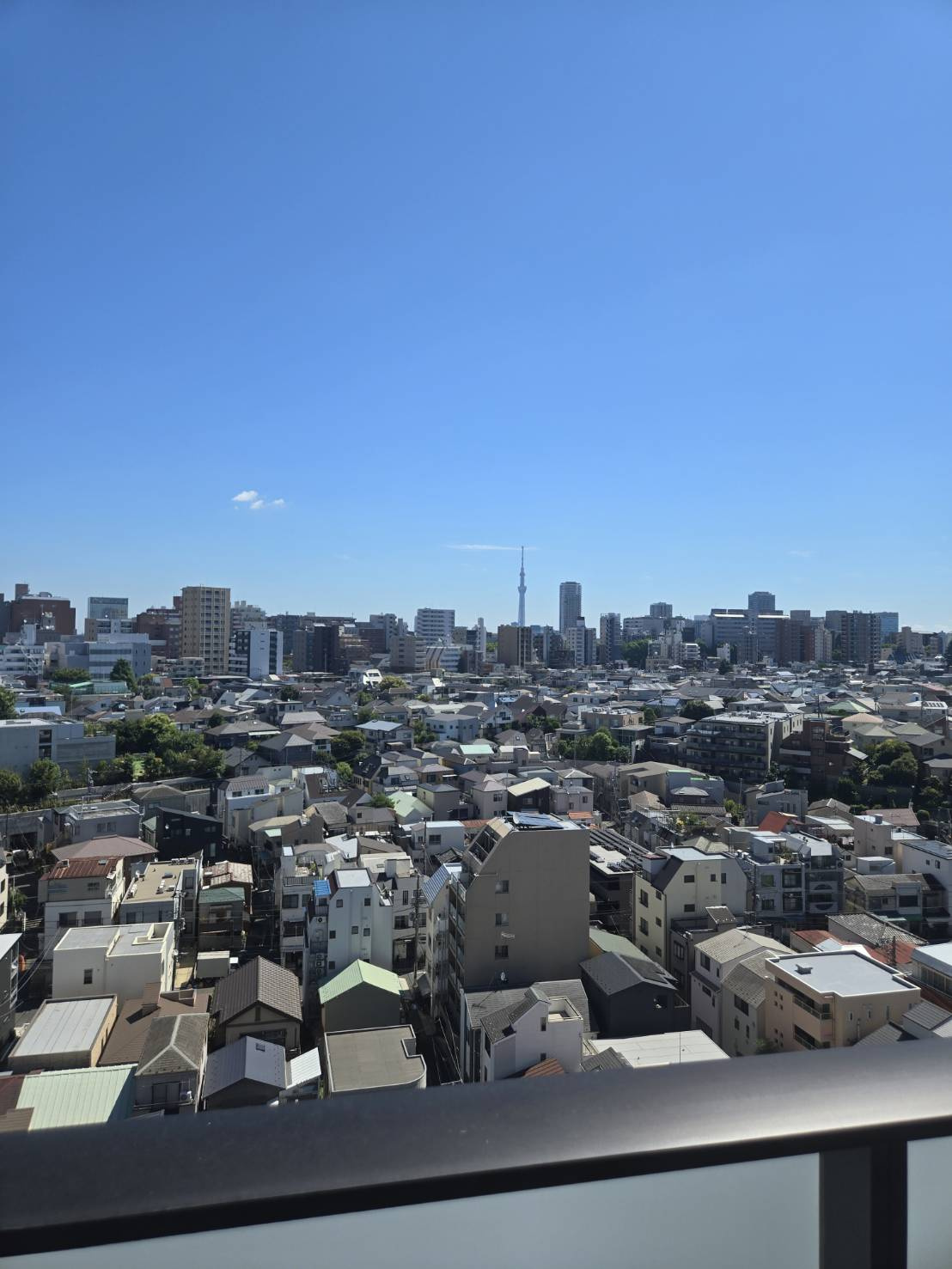 ブランシエスタ白山の展望