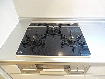 アクロポリスⅤのその他