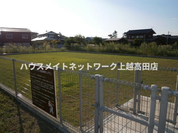ロジュマン シュシュ Ｃのその他共用部分|専用ドックラン