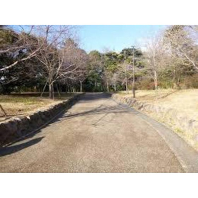 【周辺】 | プレミアムバリュー板橋徳丸 | 公園「徳丸タウンブリッジ緑地まで437ｍ」