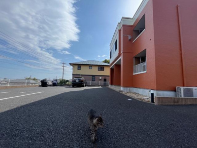 【外観】 | ヴィーヴテソロ | 外観写真（昼）
