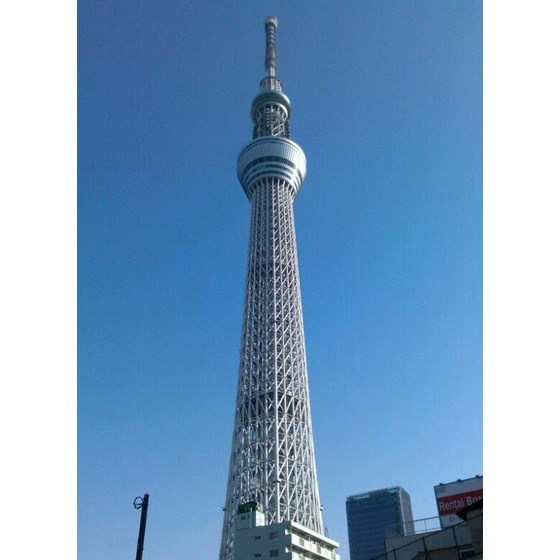 Ｚマンションの周辺|その他周辺「とうきょうスカイツリーまで210ｍ」スカイツリー