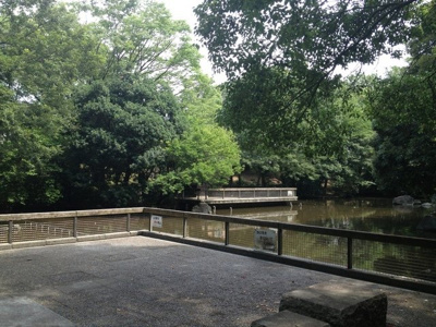 瓜生緑地　1200ｍ