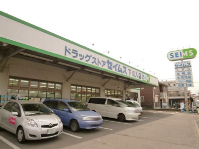 ドラッグセイムス下川入店まで1300ｍ